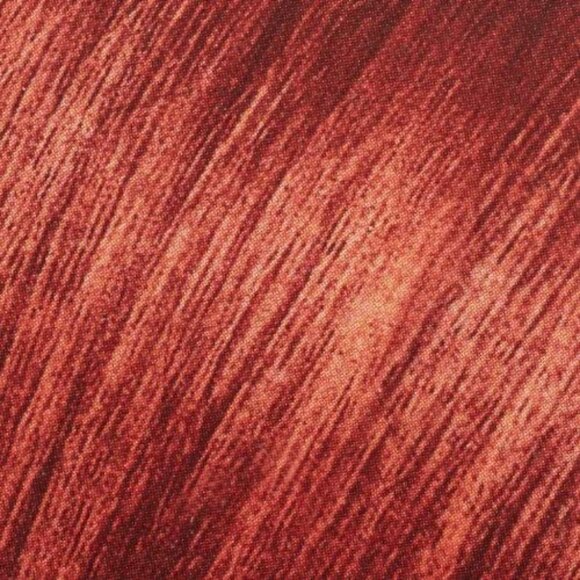 L'Oréal Paris Féria Power Red Hair Color, R68 Rich Auburn True Red - Picture 3 of 9